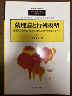 弦理論と行列模型 SGCライブラリ 104
