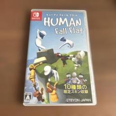 ヒューマンホールフラット