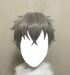 あんスタ 大神晃牙 ウィッグ あんさんぶるスターズ！ 大神晃牙 瀬名泉 コスプレウィッグ