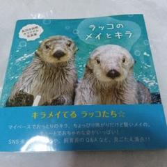 【激レア】鳥羽水族館 ⭐️コレクションカード ⭐️キラちゃん ⭐️貝かぶり ホロ 激レア】鳥羽水族館 ⭐️コレクションカード ⭐️キラちゃん