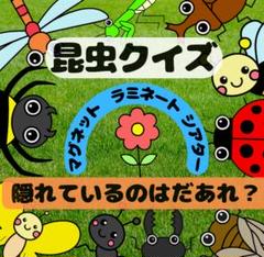 昆虫クイズ マグネット ラミネート 生き物 乳幼児 誕生会 出し物 保育教材