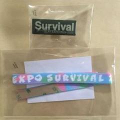 GLAY EXPO ランダムバラエティグッズ ブランケット - メルカリ