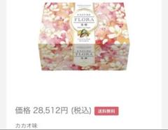 エンザイムフローラ ENZYME FLORA カカオ味 28,512円（税込