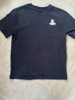 GAP ギャップ ブラナンベア半袖Tシャツ　ブラック　黒　キッズXL