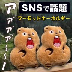 マーモット キーホルダー ストラップ ぬいぐるみ マモケツ 2個組 ふわふわ