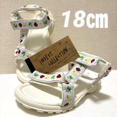 インセクトコレクション　キッズサンダル　18.0 カマキリ先生