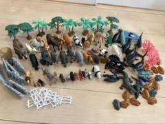 動物　水の生き物　海の生き物　アニア　フィギュアセット　まとめ売り
