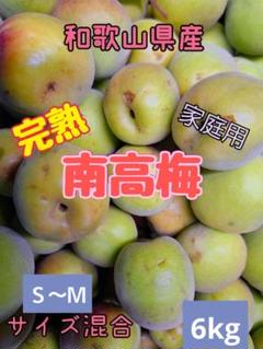 2025年最新】みかんキングの人気アイテム - メルカリ
