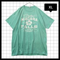 US古着　輸入古着　ヴィンテージ加工　プリント　半袖Tシャツ　ミントグリーン
