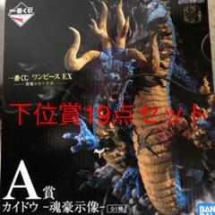 ロビン ｅｙの中古 未使用品を探そう メルカリ