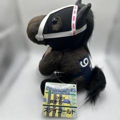ステイゴールド アイドルホース