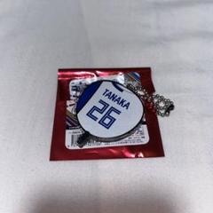 オールスター シークレットうちわ型アクリルキーチェーン 田中選手
