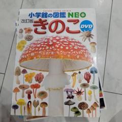 Amazon.co.jp: 東ドイツの古いキノコ図鑑Pilzwanderungen 1961年