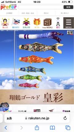 皇彩2m緑鯉(茶柱111様問い合わせ分) 皇彩2m緑鯉(茶柱111様問い合わせ分)