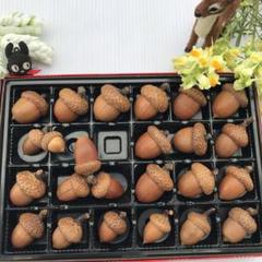 どんぐり（レッドオーク）ループ付90個 2025年最新】レッドオークどんぐりの人気アイテム - メルカリ