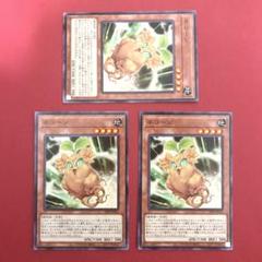 2025年最新】遊戯王ノーマルまとめ売りの人気アイテム - メルカリ