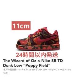 Nike SB Dunk Low "Poppy Field" TD