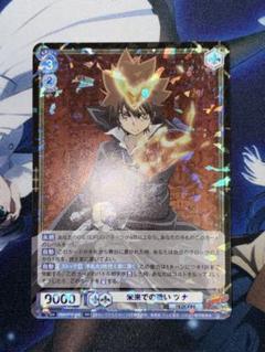 ヴァイスシュヴァルツブラウ　未来での戦い ツナ　RR