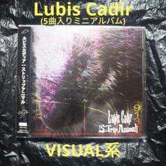 2025年最新】Lubis Cadirの人気アイテム - メルカリ
