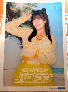 羽賀朱音 ピンポス ハロコン2025 モーニング娘。'25