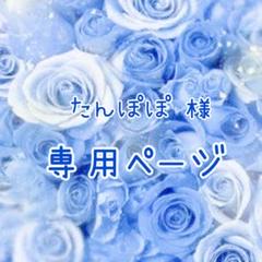 専用ページ
