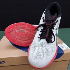 ASICS　ノバブラスト３　28.0cmワイド幅のサムネイル