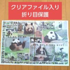 新聞 パンダ アドベンチャーワールド 6/27 - メルカリ