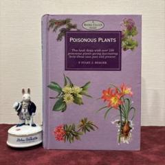 512⑧希少植物図鑑　洋書　古書　ボタンニカルアート ❤️定番②❤️イギリス植物図鑑 洋書古書 ボタンニカルアート