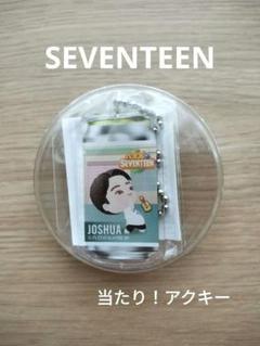 SEVENTEEN Joshua バッジ・キーホルダーセット SEVENTEEN ジョシュア アクスタ キーホルダー セット まとめ売り