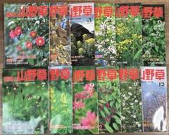 趣味の山野草 1-12巻 1992年