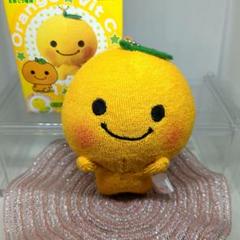□レア商品 年代物 昭和レトロ バヤリースオレンジ坊や ぬいぐるみBIG5300 2025年最新】バヤリース坊やの人気アイテム - メルカリ