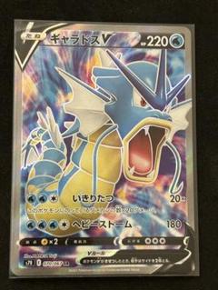 ポケモンカード　ギャラドスV SR PSA10 ポケモンカード PSA10 ギャラドスex SR SV1S スカーレットex