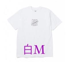 UNDFTD × NBHD SOMEDAY L/S TEE