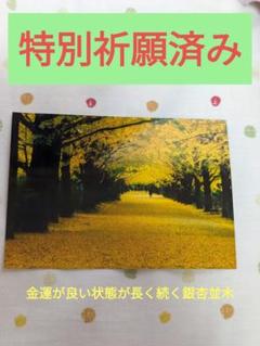 美品未着用 正絹 袷 着物“イチョウ並木を歩く秋のひと時”色無地 S-94