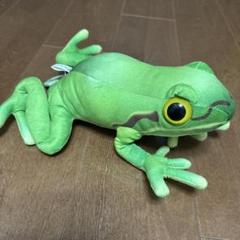 カエルのt係さま専用ページ　1つ目 きょうか様専用ページ - メルカリ