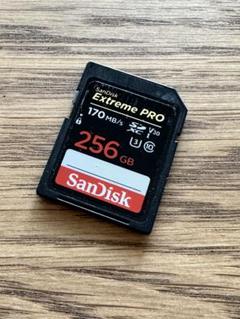 SanDisk SDカード 256GB 1