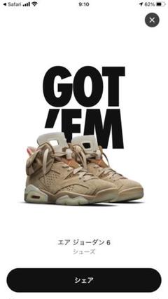Nike Air Jordan 6 Retro SP 27cm