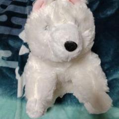 くったりサモエドくん わんこ 犬 ぬいぐるみ 大きめ 匿名配送 未使用