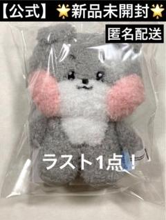 ZB1 zeroni キーリング メッセージぬいぐるみ ゴニニ ゴヌク