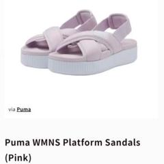 PUMA スポサン ピンク 箱あり