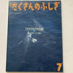 たくさんのふしぎ　コククジラの旅