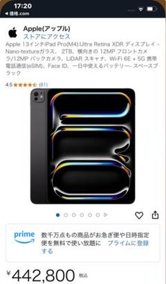 Apple 13インチiPad Pro(M4):Ultra Retina2TB、