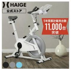 HAIGE スピンバイク HG-YX-5006S 静音 メーター付きのサムネイル