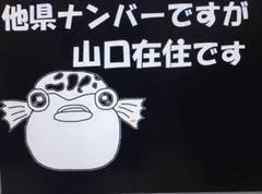 【在庫限り/超特価 24時まで】県外ナンバーカスタム可能、県内、在住、山口県