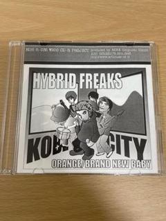 HYBRID FREAKS 2曲入りCD-R 本人サイン入り