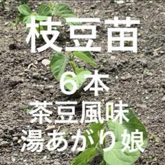 うんまい農園様湯あがり娘3 袋ゆかた娘3袋計6袋
