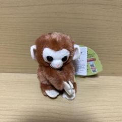 うきっきさるるん きっき マスコット ぬいぐるみ