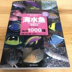 スズメダイ ひと目で特徴がわかる図解付き | 株式会社誠文堂新光社
