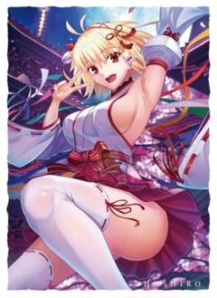 2025年最新】月姫 アルクェイドの人気アイテム - メルカリ