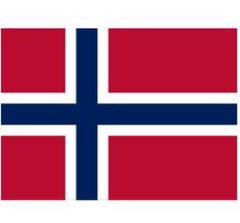 ＮＯノルウェー軍＊１９３０年代＊国旗ピン（実物） 専門ショップ NOノルウェー軍＊1930年代＊国旗ピン（実物